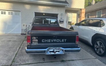 Chevrolet-s10-pickup-1991-black