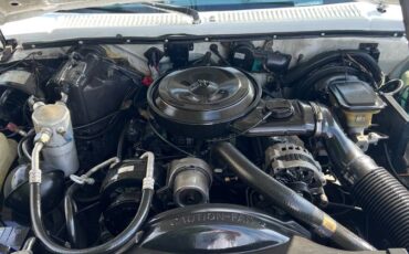 Chevrolet-s10-pickup-1991-white-10