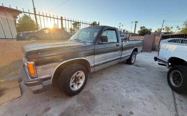 Chevrolet-s10-pickup-1993-black-5