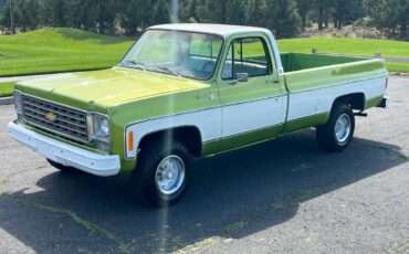 Chevrolet-scottdale-10-4x4-1975-green-1