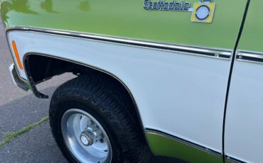 Chevrolet-scottdale-10-4x4-1975-green-19