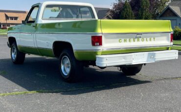 Chevrolet-scottdale-10-4x4-1975-green-2