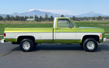 Chevrolet-scottdale-10-4x4-1975-green-20