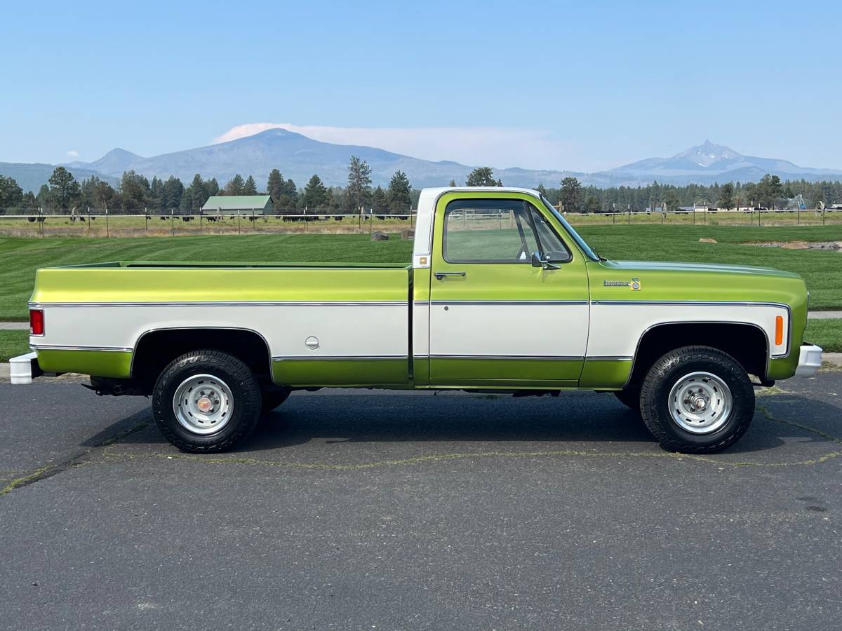 Chevrolet-scottdale-10-4x4-1975-green-20