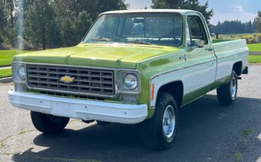 Chevrolet-scottdale-10-4x4-1975-green-21