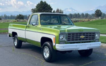 Chevrolet-scottdale-10-4x4-1975-green-22