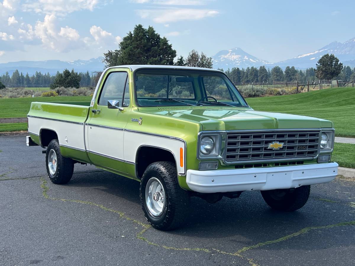 Chevrolet-scottdale-10-4x4-1975-green-22