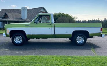Chevrolet-scottdale-10-4x4-1975-green-23