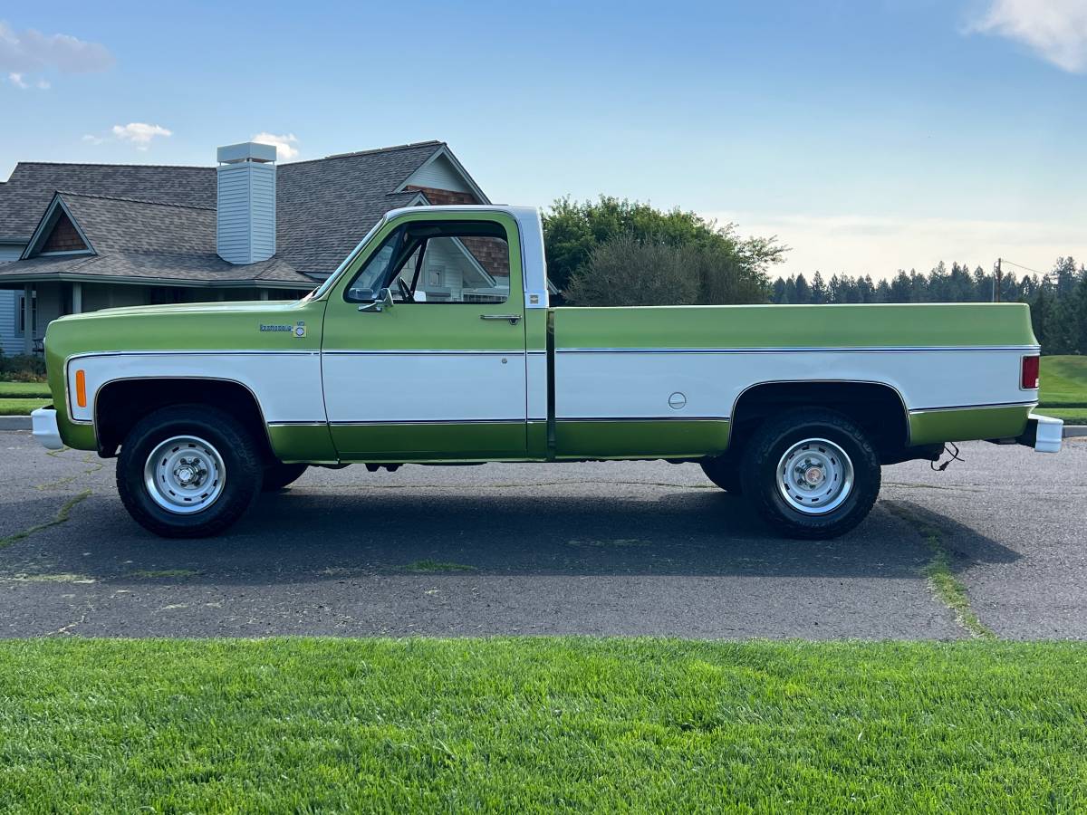Chevrolet-scottdale-10-4x4-1975-green-23