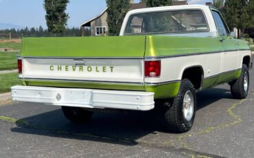 Chevrolet-scottdale-10-4x4-1975-green-3