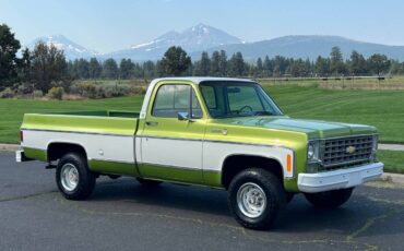 Chevrolet-scottdale-10-4x4-1975-green