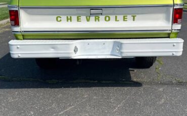 Chevrolet-scottdale-10-4x4-1975-green-5