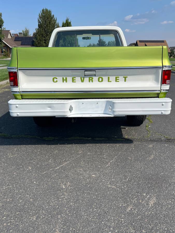 Chevrolet-scottdale-10-4x4-1975-green-5