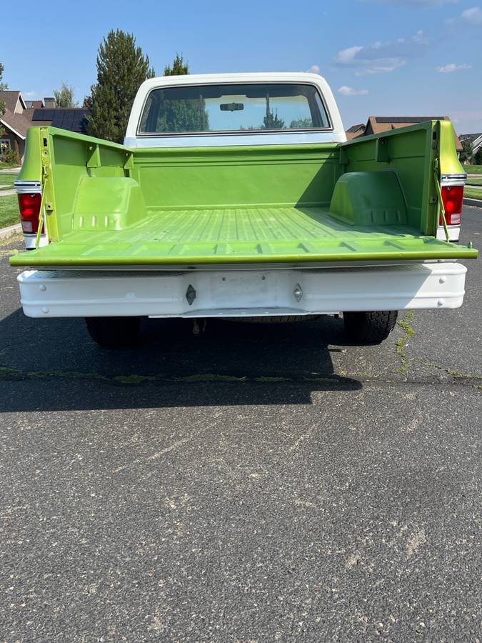 Chevrolet-scottdale-10-4x4-1975-green-6