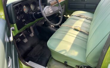 Chevrolet-scottdale-10-4x4-1975-green-7