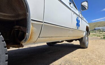 Chevrolet-scottsdale-1978-white-10