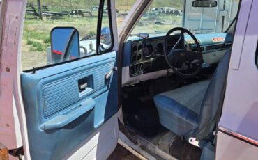 Chevrolet-scottsdale-1978-white-15