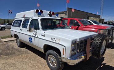 Chevrolet-scottsdale-1978-white-2