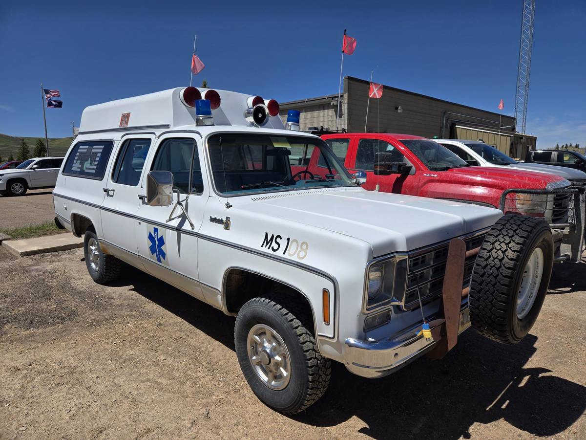 Chevrolet-scottsdale-1978-white-2