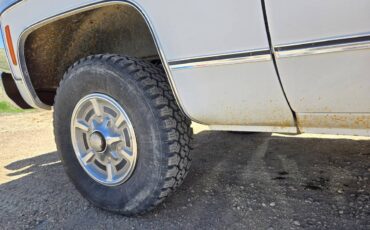 Chevrolet-scottsdale-1978-white-7