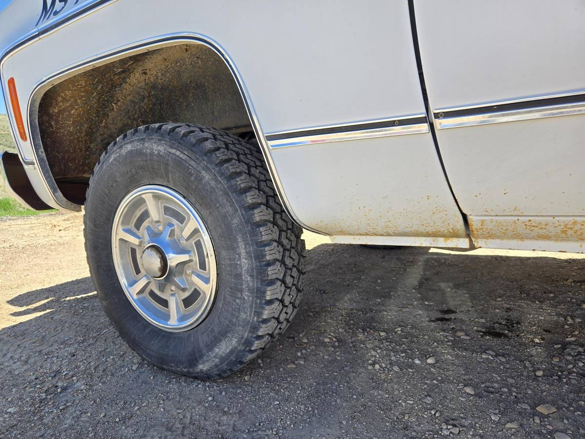 Chevrolet-scottsdale-1978-white-7