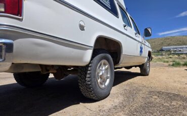 Chevrolet-scottsdale-1978-white-9