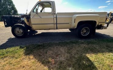Chevrolet-scottsdale-1978-yellow-1