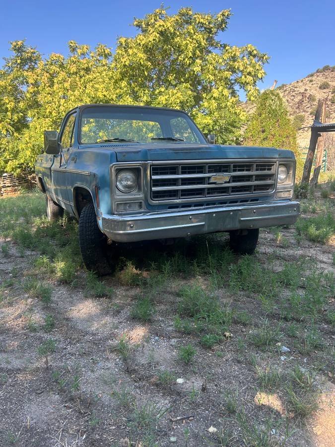 Chevrolet-scottsdale-1979-blue-1