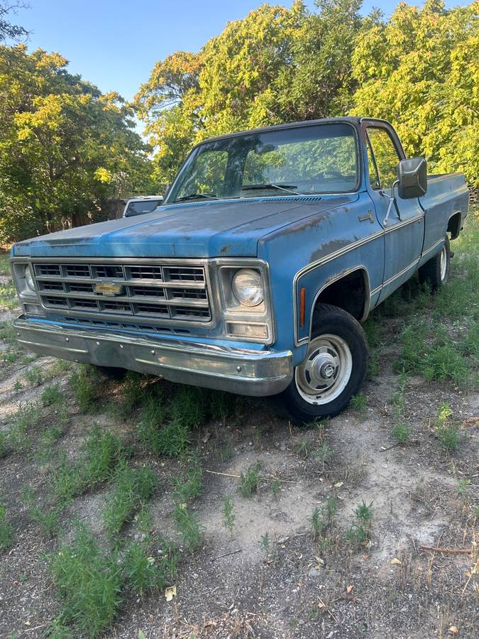 Chevrolet-scottsdale-1979-blue-3