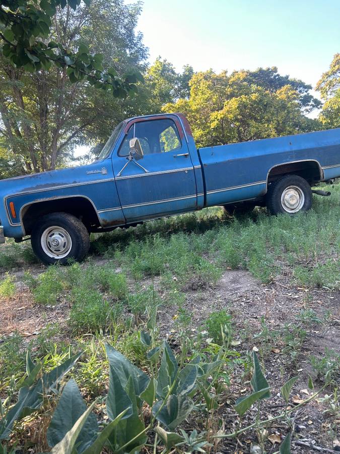 Chevrolet-scottsdale-1979-blue-4