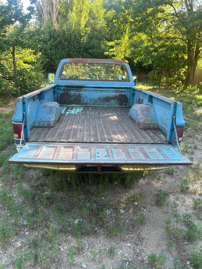 Chevrolet-scottsdale-1979-blue-6