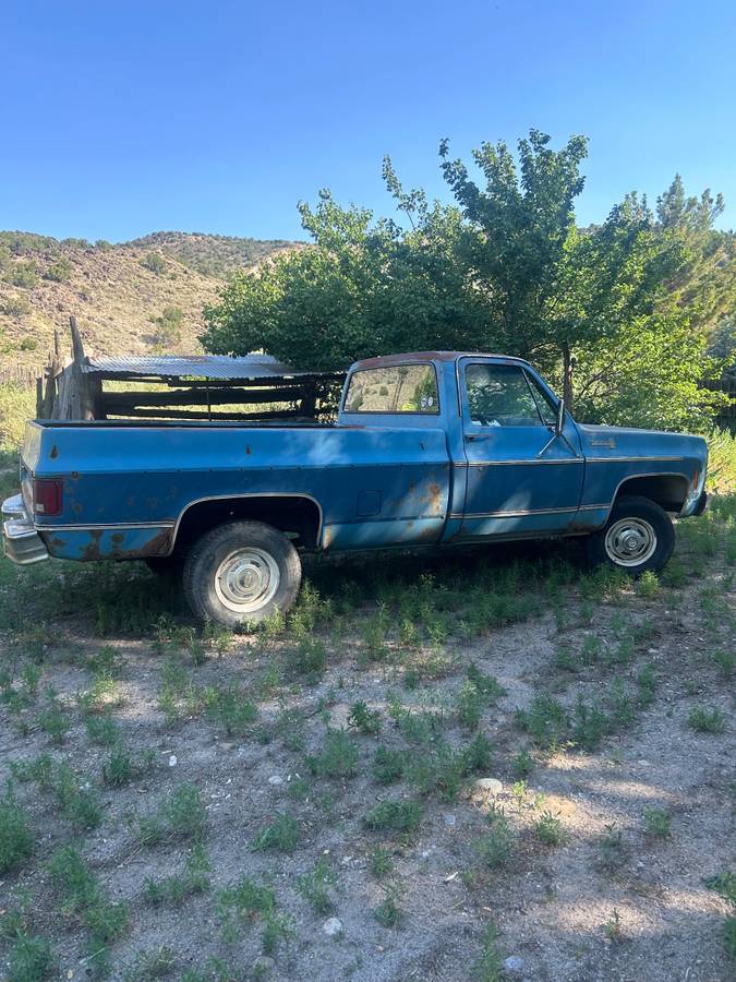 Chevrolet-scottsdale-1979-blue