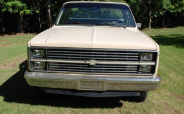 Chevrolet-scottsdale-1984-1