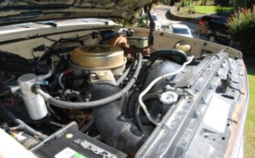 Chevrolet-scottsdale-1984-27
