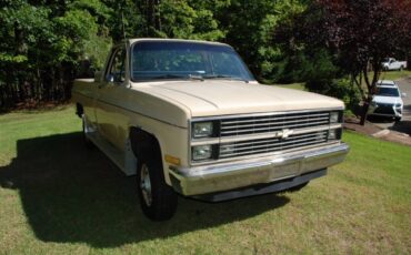 Chevrolet-scottsdale-1984-38