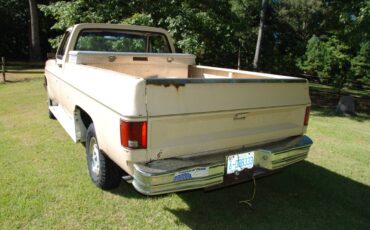 Chevrolet-scottsdale-1984-5