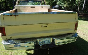 Chevrolet-scottsdale-1984-78
