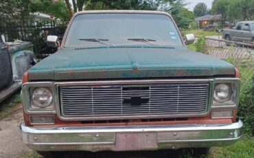 Chevrolet-silverado-1500-1978-white-1