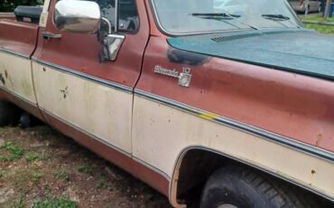Chevrolet-silverado-1500-1978-white-2