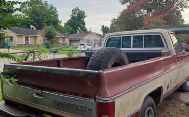 Chevrolet-silverado-1500-1978-white-3