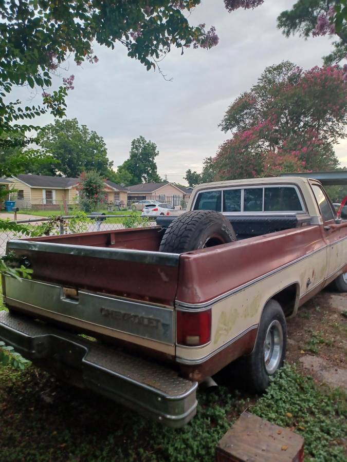 Chevrolet-silverado-1500-1978-white-3