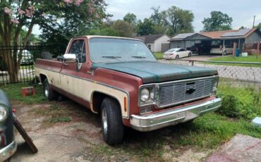 Chevrolet-silverado-1500-1978-white