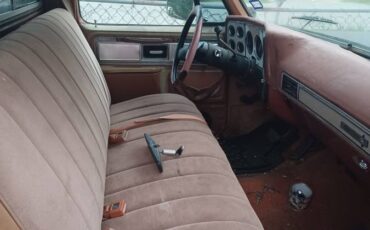 Chevrolet-silverado-1500-1978-white-5