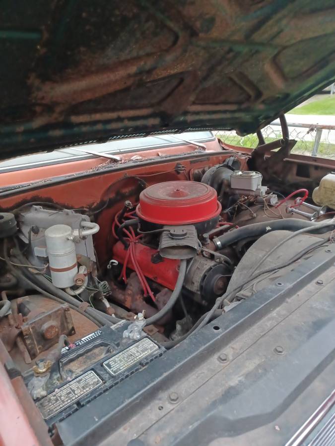 Chevrolet-silverado-1500-1978-white-6