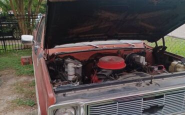 Chevrolet-silverado-1500-1978-white-7