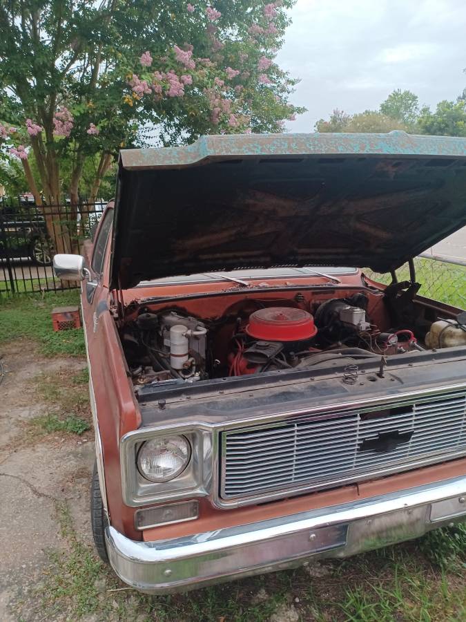 Chevrolet-silverado-1500-1978-white-7