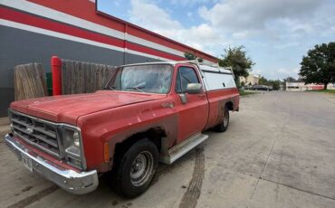 Chevrolet-silverado-1500-1979-1