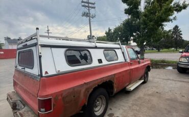 Chevrolet-silverado-1500-1979-3