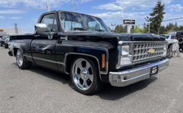 Chevrolet-silverado-1500-1980-red-14