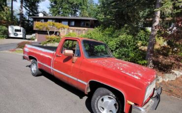 Chevrolet-silverado-1500-1981-1